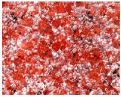 建筑工程常用材料及工程机械浅析 石灰与石膏